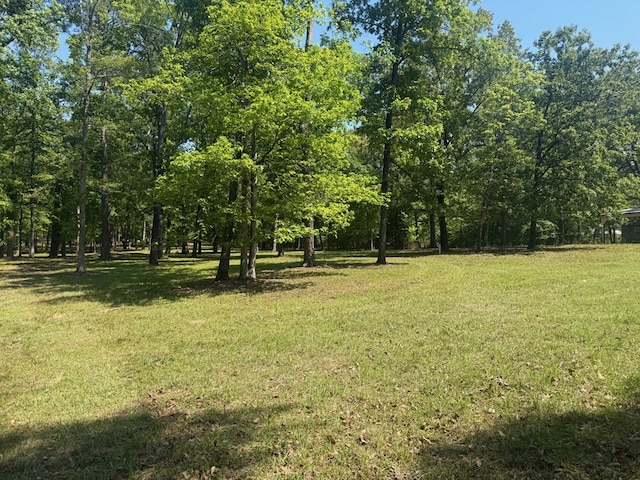 164 Griffith Dr, Ft Gaines, GA 39851 - photo 5