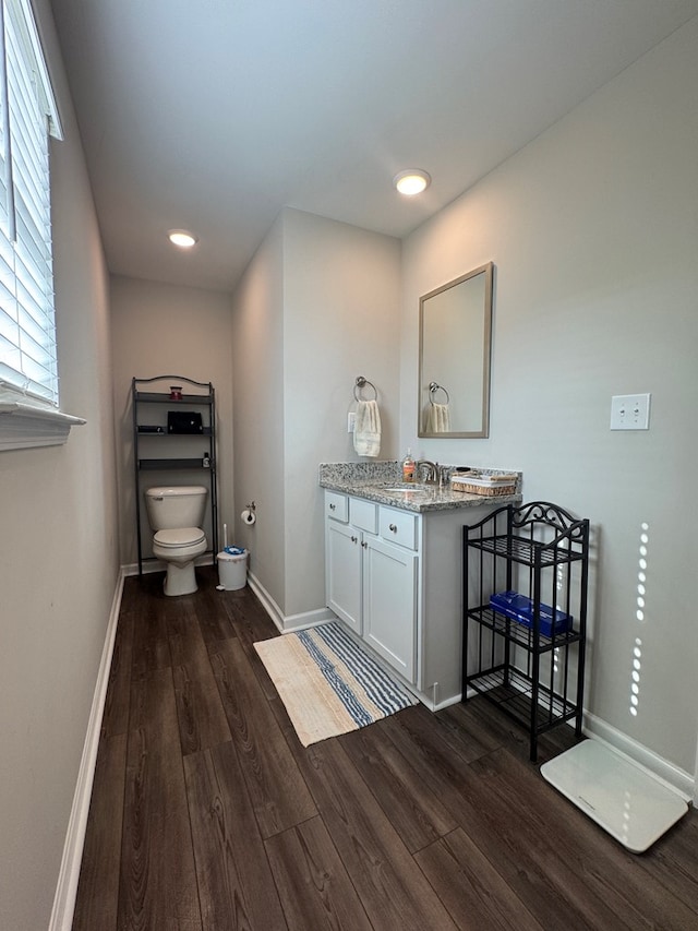 330 Gritney, Daleville, AL 36322 - bathroom featuring wood finished floors, vanity, and recessed lighting
