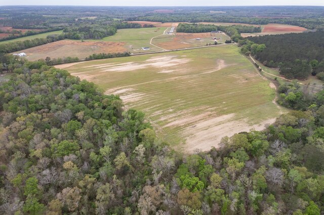 4.05ACRES Singletary Rd, Slocomb, AL 36375 - photo 8