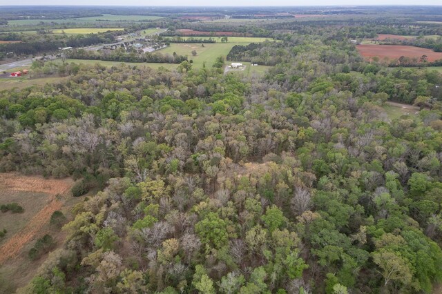4.05ACRES Singletary Rd, Slocomb, AL 36375 - photo 15