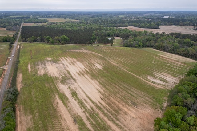 4.05ACRES Singletary Rd, Slocomb, AL 36375 - photo 4