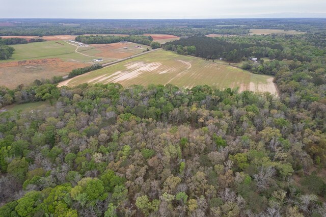 4.05ACRES Singletary Rd, Slocomb, AL 36375 - photo 6