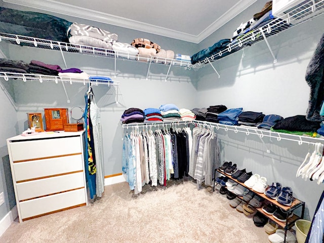 spacious closet with carpet