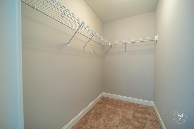 walk in closet featuring carpet