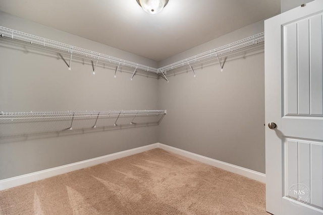 spacious closet with carpet flooring