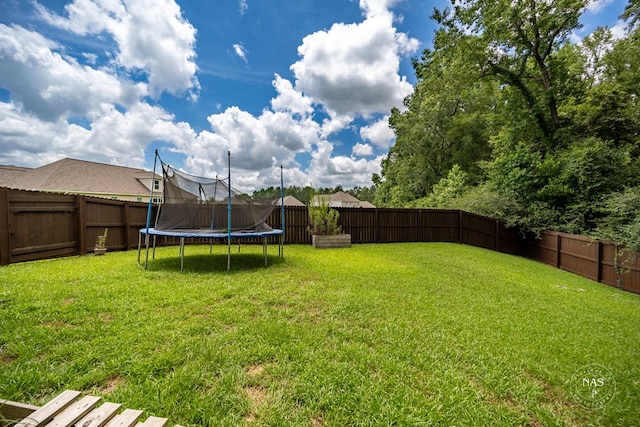 view of yard with a trampoline