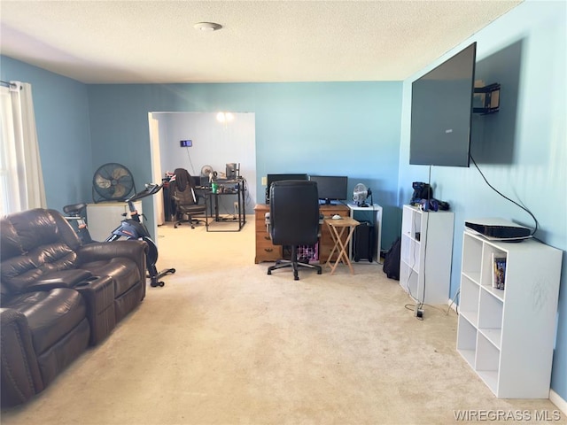 1303 Highland Dr, Elba, AL 36323 - home office with carpet floors and a textured ceiling
