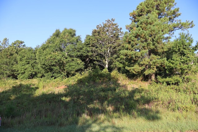 Listing photo 2 for 0.70AC Cedar Grove Ln, Enterprise AL 36330