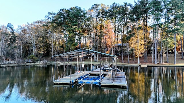 dock area with a water view