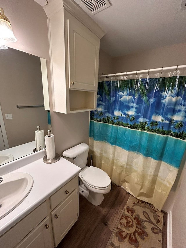 bathroom with vanity, toilet, and wood-type flooring