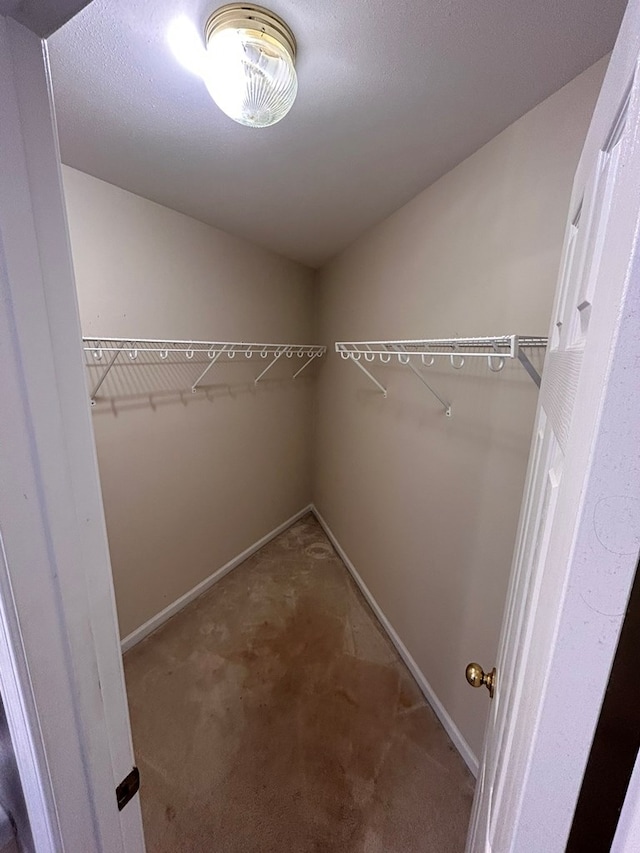 walk in closet featuring carpet flooring