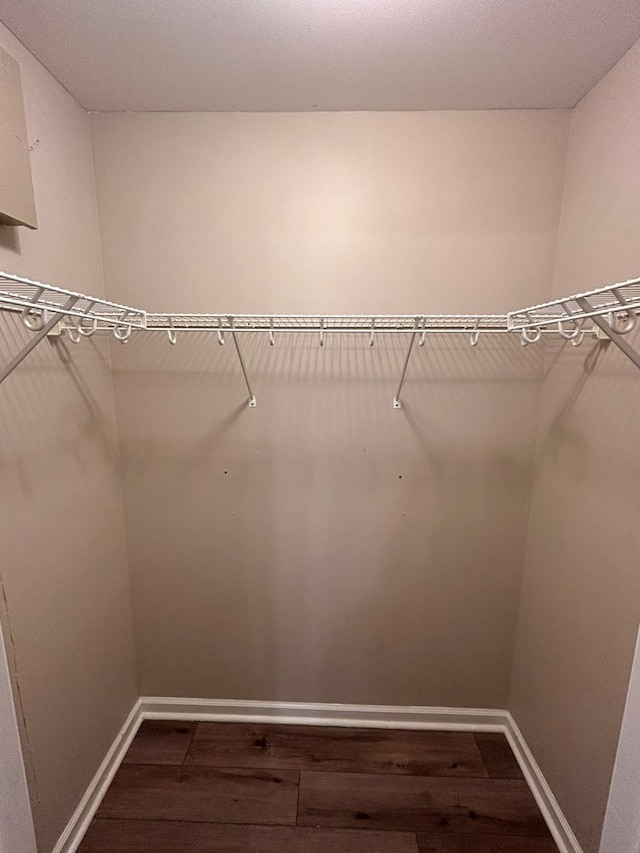 spacious closet featuring dark wood-type flooring