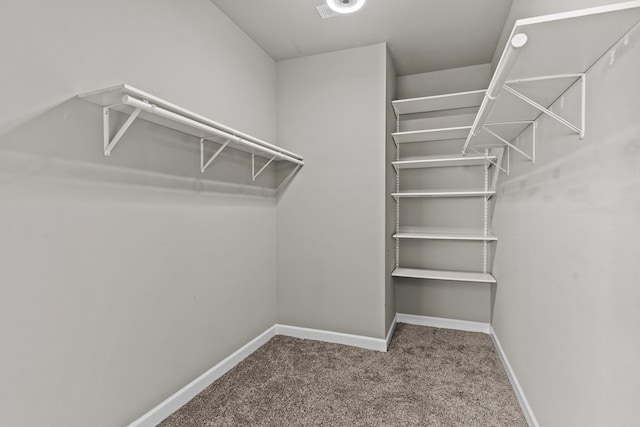 spacious closet with carpet flooring