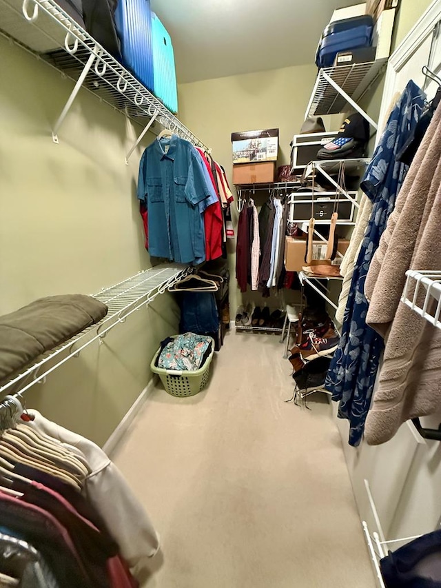 view of walk in closet