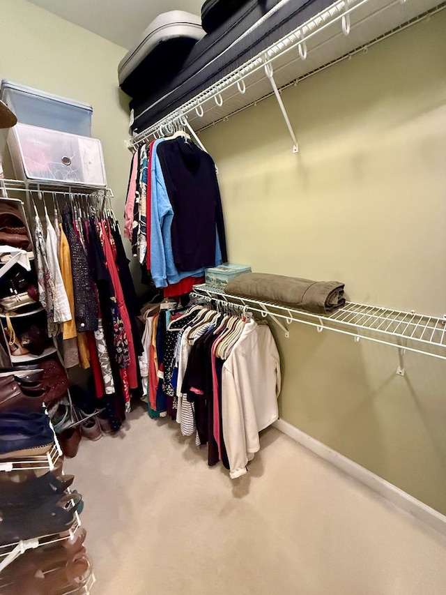 walk in closet featuring carpet floors