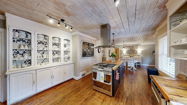 514 S Main St, Headland, AL 36345 - kitchen featuring stainless steel appliances, island exhaust hood, wood ceiling, open shelves, and butcher block counters