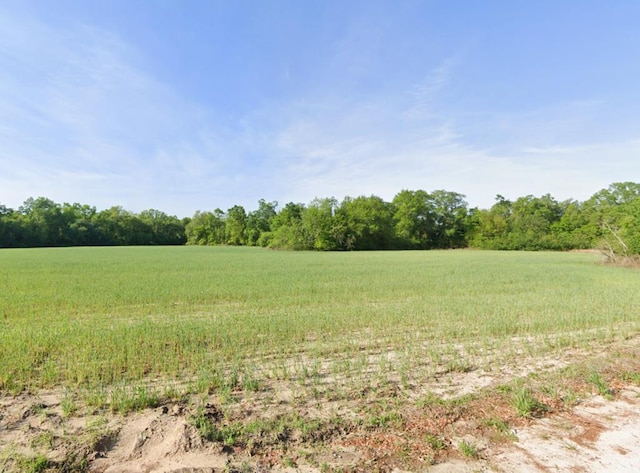 0 Long Rd, Gordon AL, 36343 land for sale