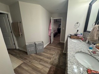 bathroom with hardwood / wood-style flooring and vanity