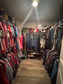 spacious closet with wood-type flooring