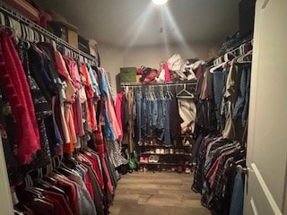 walk in closet with hardwood / wood-style flooring