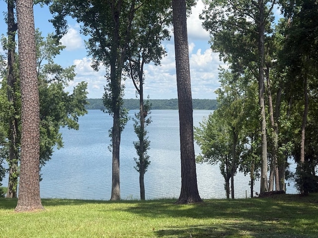 111 Lakeview Dr, Eufaula, AL 36027 - photo 36