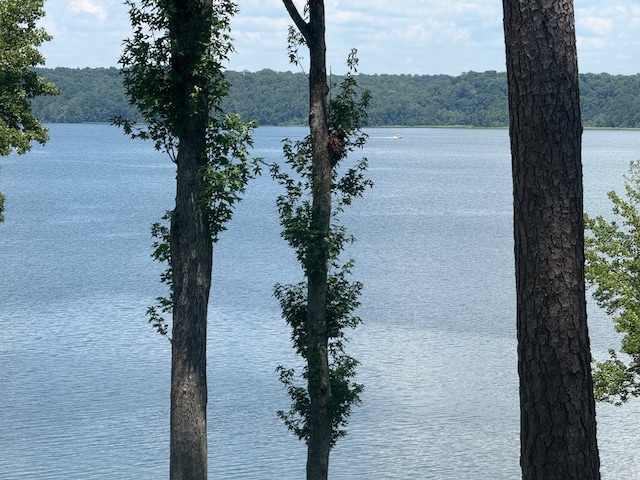 111 Lakeview Dr, Eufaula, AL 36027 - photo 35