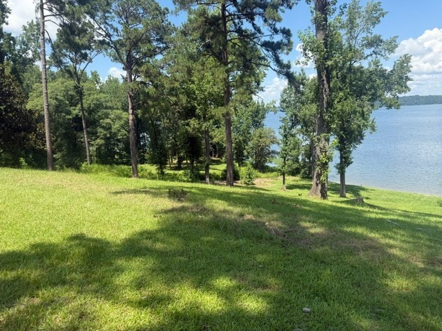 111 Lakeview Dr, Eufaula, AL 36027 - photo 34