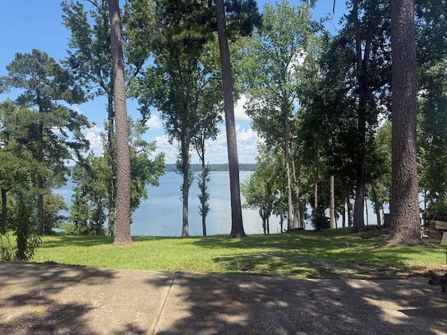 111 Lakeview Dr, Eufaula, AL 36027 - photo 32