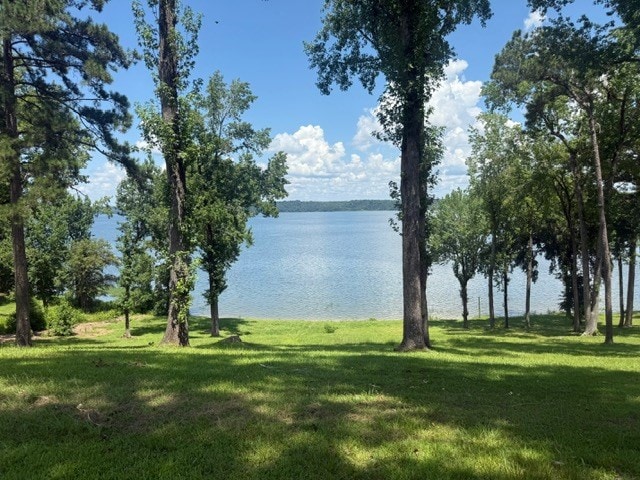 111 Lakeview Dr, Eufaula, AL 36027 - photo 33