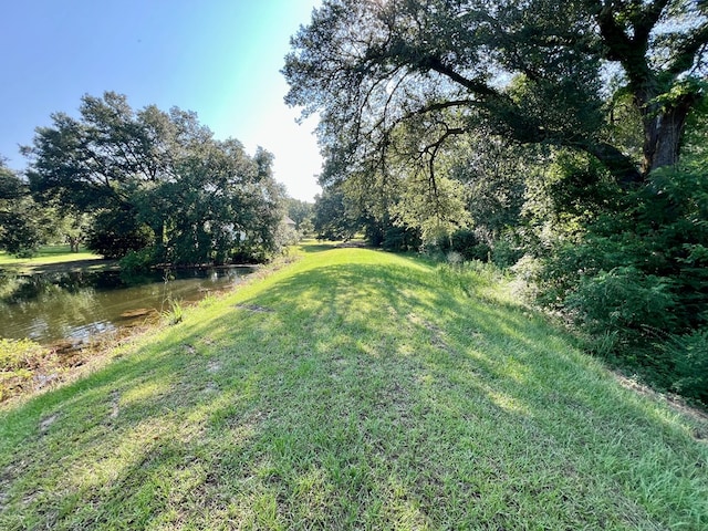 3.4ACRES Thornberry Pl, Ashford, AL 36312