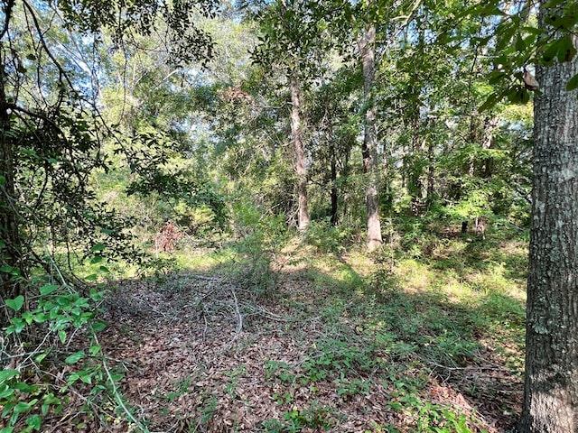 3.4ACRES Thornberry Pl, Ashford, AL 36312