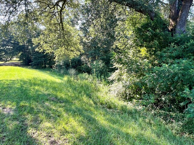 3.4ACRES Thornberry Pl, Ashford, AL 36312