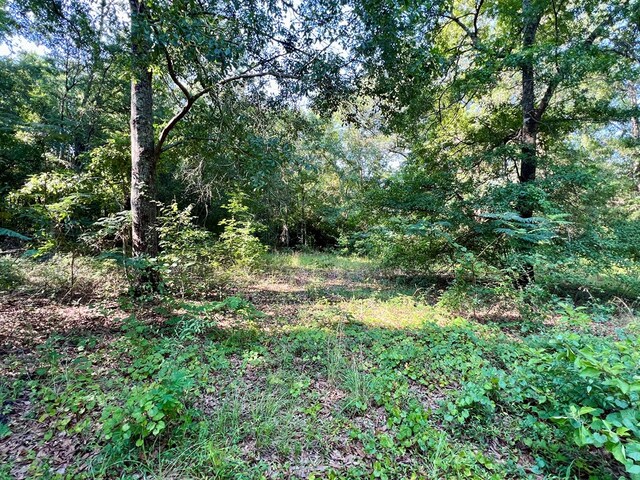 3.4ACRES Thornberry Pl, Ashford, AL 36312