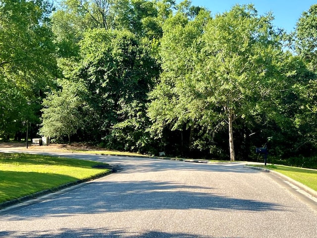 3.4ACRES Thornberry Pl, Ashford, AL 36312