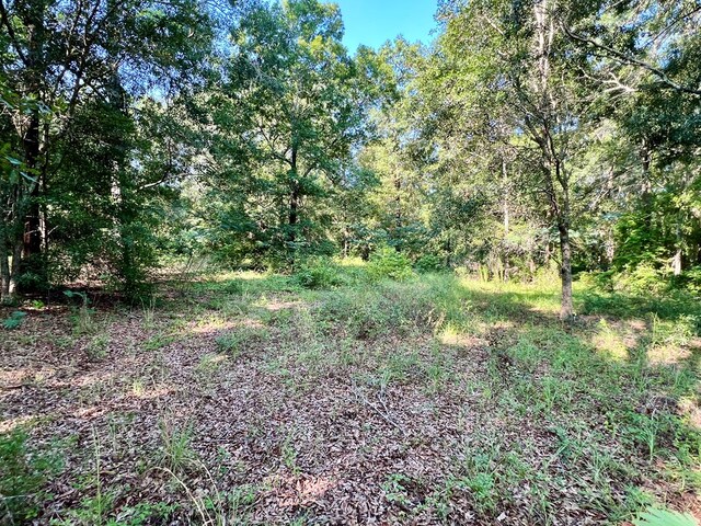 3.4ACRES Thornberry Pl, Ashford, AL 36312