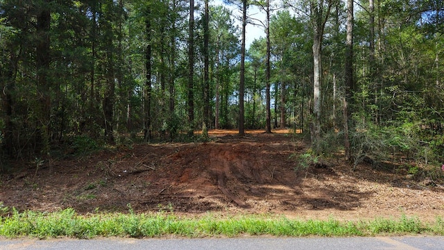 3.34/- A E Dogwood Trl, Coffee Springs, AL 36318