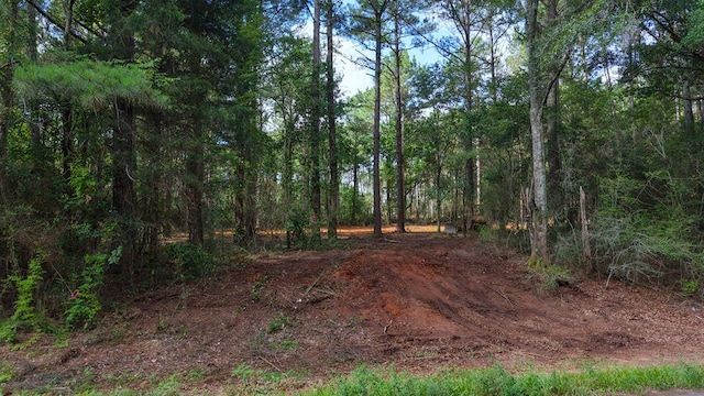 3.34/- A E Dogwood Trl, Coffee Springs, AL 36318