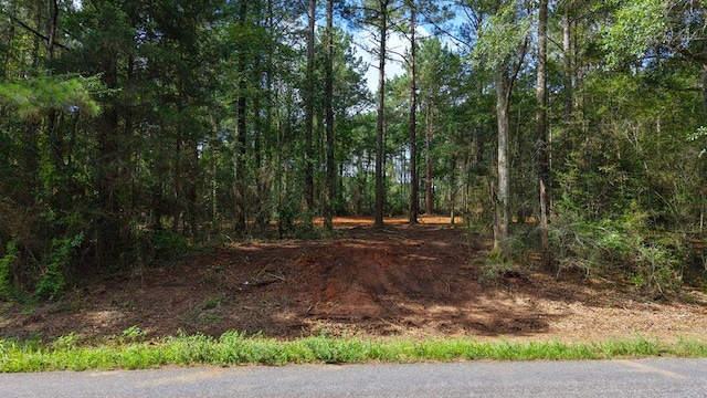 3.34/- A E Dogwood Trl, Coffee Springs, AL 36318