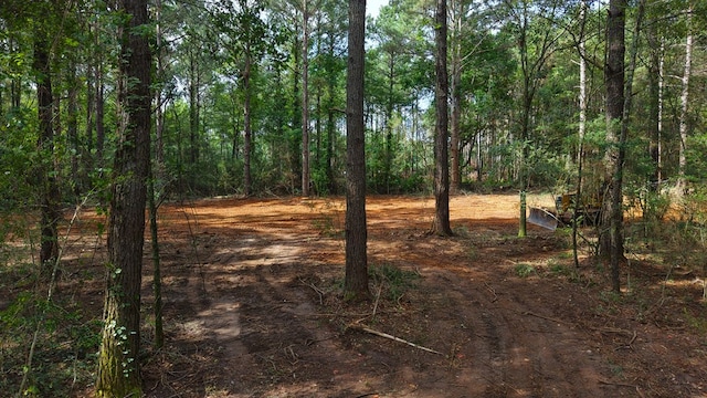 3.34/- A E Dogwood Trl, Coffee Springs, AL 36318