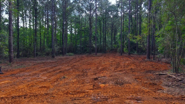 3.34/- A E Dogwood Trl, Coffee Springs, AL 36318