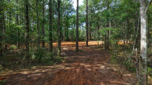 3.34/- A E Dogwood Trl, Coffee Springs, AL 36318