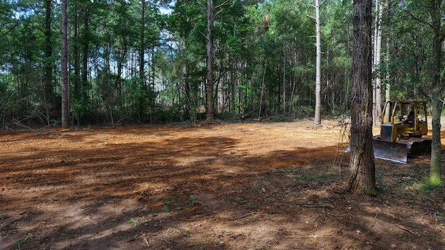3.34/- A E Dogwood Trl, Coffee Springs, AL 36318