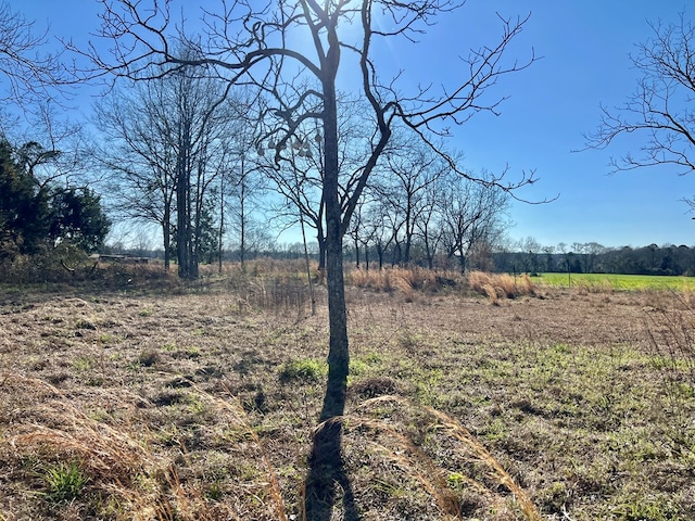 view of yard with a rural view
