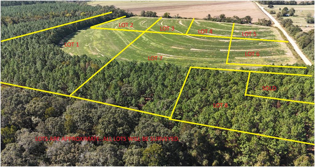 Lot6 Rehobeth, Dothan, AL 36301 - photo 4