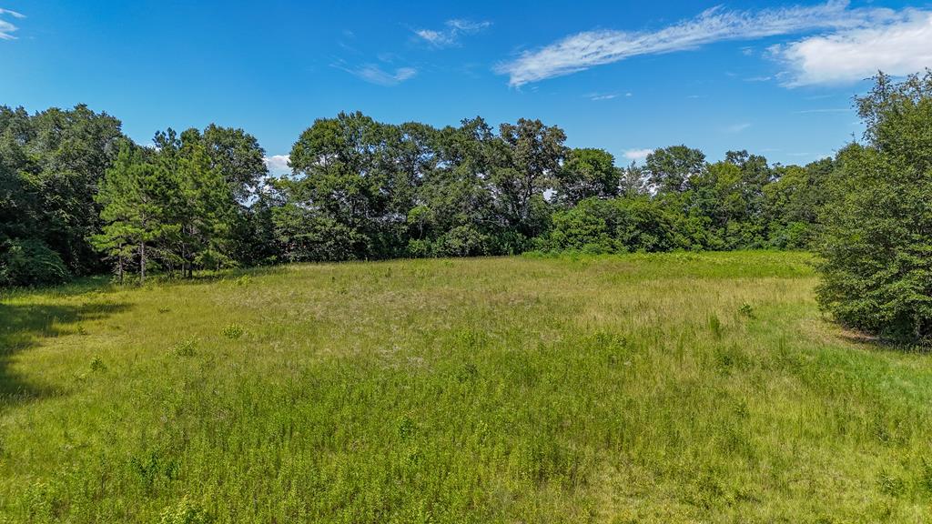 00 Main St, Ashford, AL 36312 - photo 1