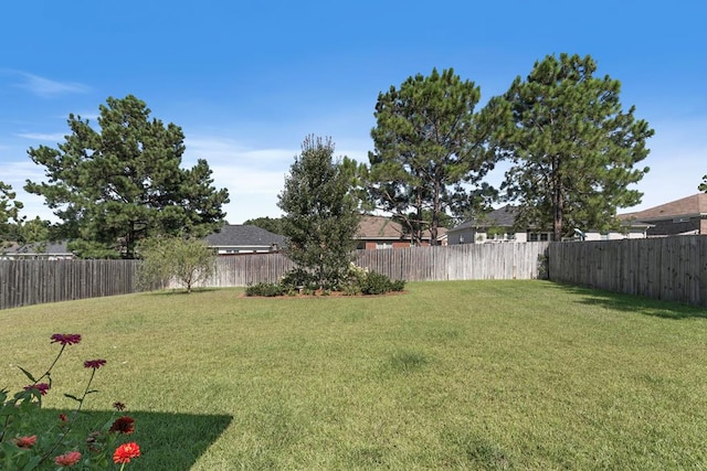 view of yard with a fenced backyard