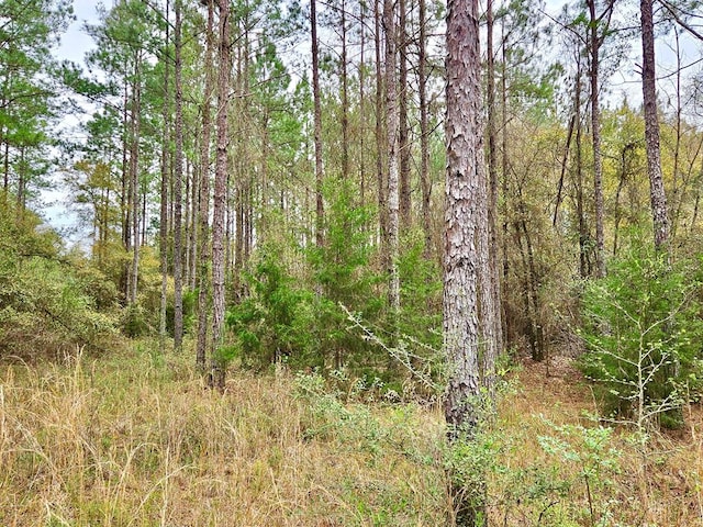 0 E County Road 22, Headland, AL 36345