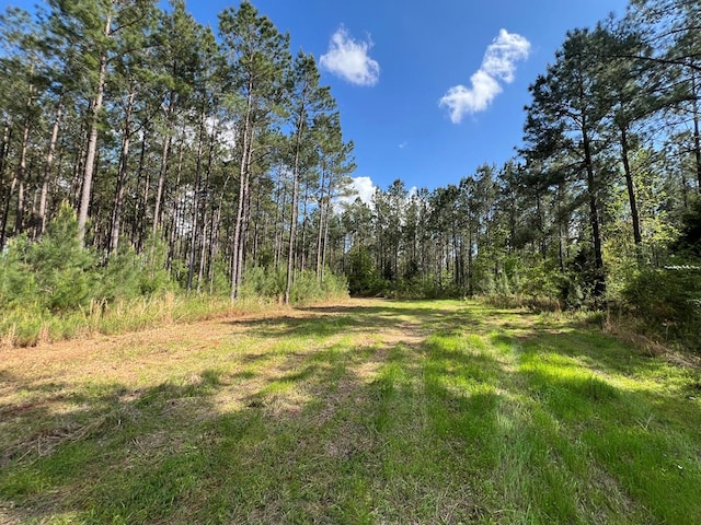 0 E County Road 22, Headland, AL 36345