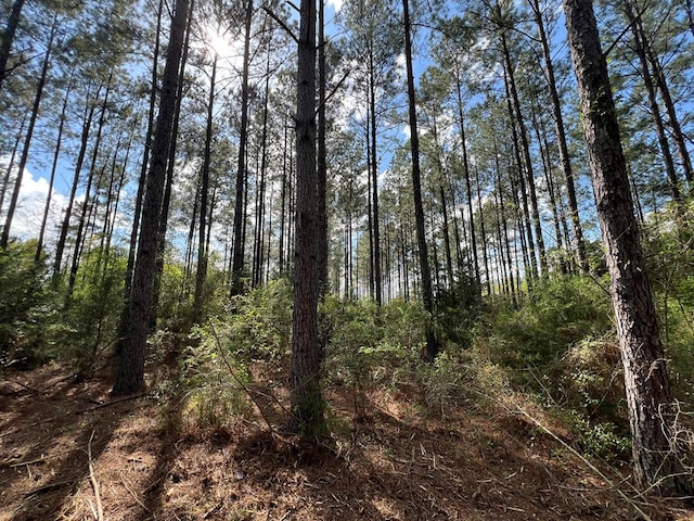 0 E County Road 22, Headland, AL 36345