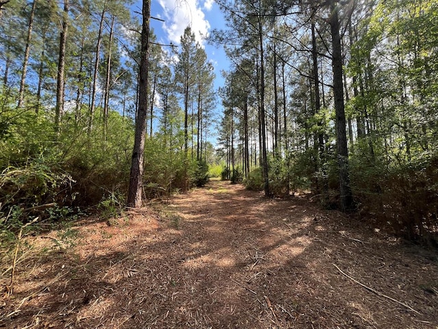 0 E County Road 22, Headland, AL 36345